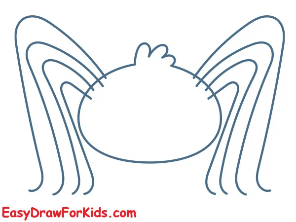 spider drawing step 2