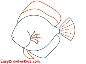 How To Draw A Fish - 14 Ways (With Pictures)