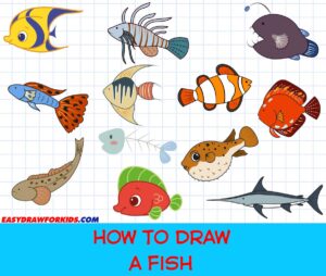how to draw a fish