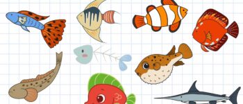 how to draw a fish