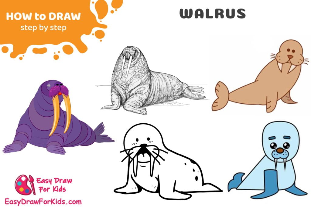 How To Draw A Walrus - 9 Ways (With Pictures)