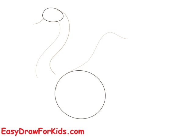 beautiful swan drawing step 1