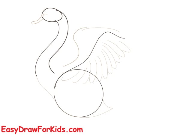 beautiful swan drawing step 2