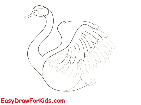 beautiful swan drawing step 3