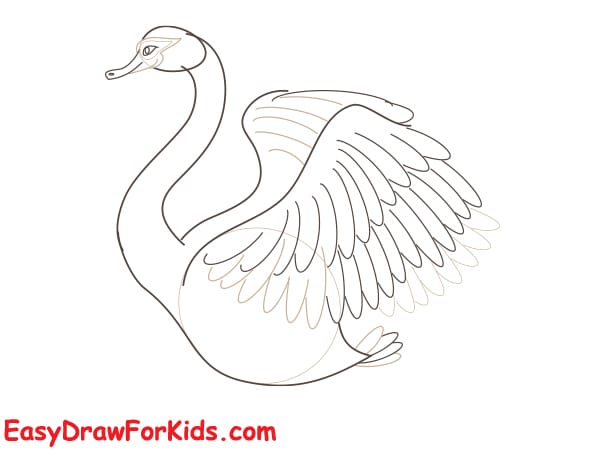 beautiful swan drawing step 4