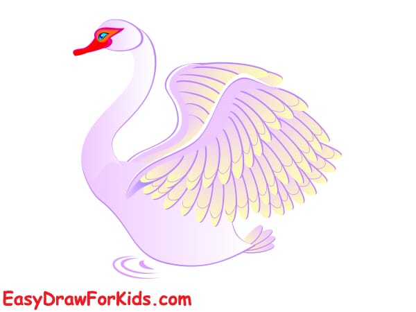 beautiful swan drawing step 6