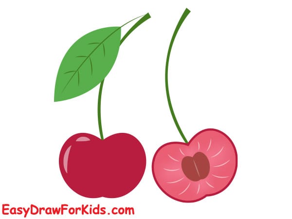 cherry slice drawing step 6
