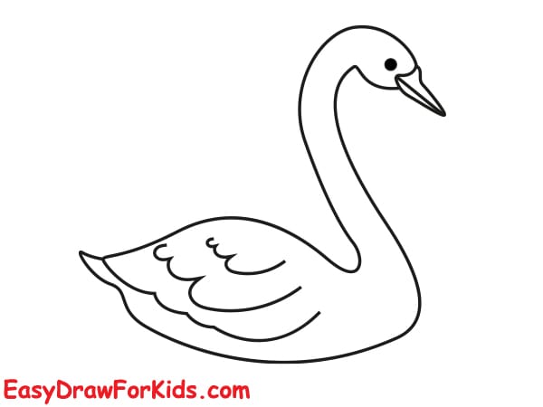 cute swan drawing step 5