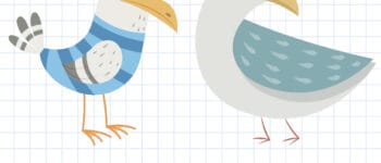 How To Draw A Seagull – 2 Ways (With Pictures)