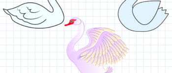 How To Draw A Swan – 3 Ways (With Pictures)