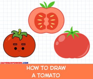 how to draw a tomato