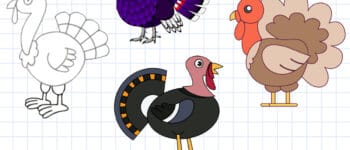 How To Draw A Turkey – 4 Ways (With Pictures)