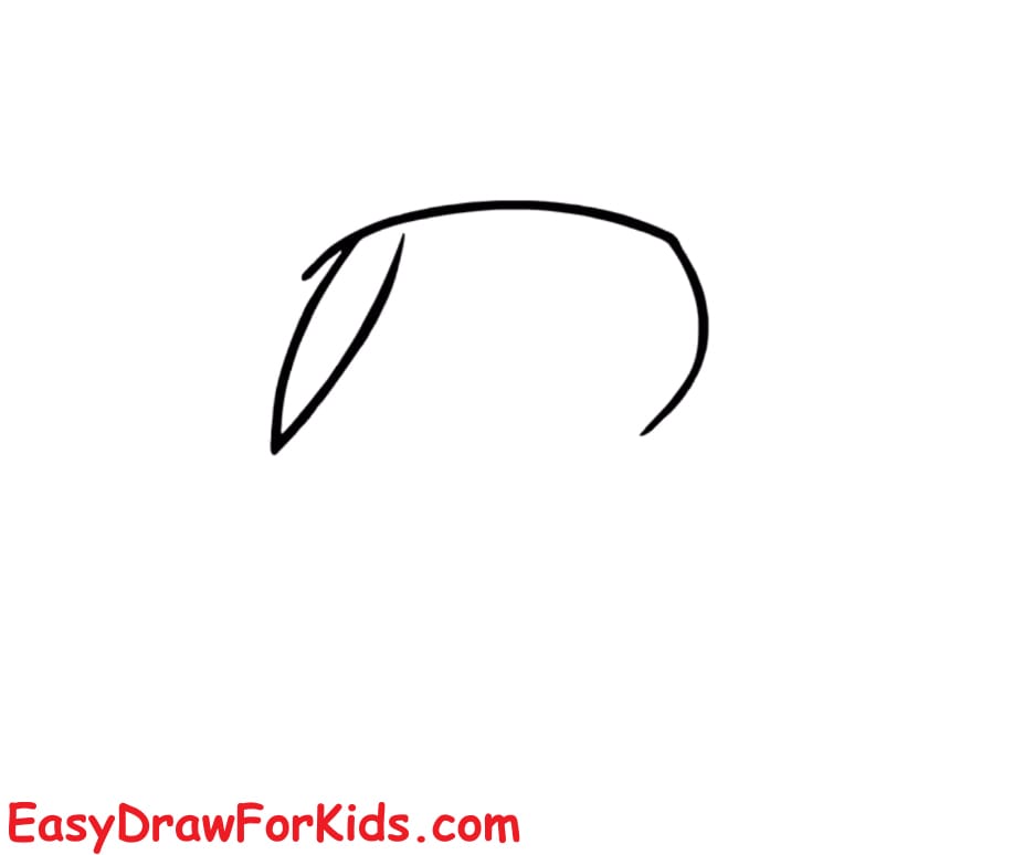 how to draw pikachu with hat step 1