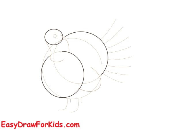 realistic turkey drawing step 2