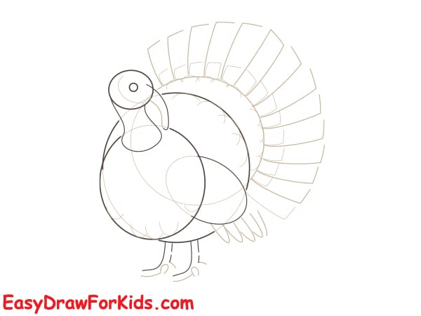 realistic turkey drawing step 3