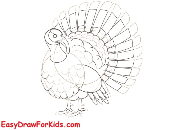 realistic turkey drawing step 4