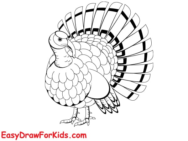 realistic turkey drawing step 5