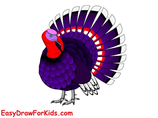 realistic turkey drawing step 6