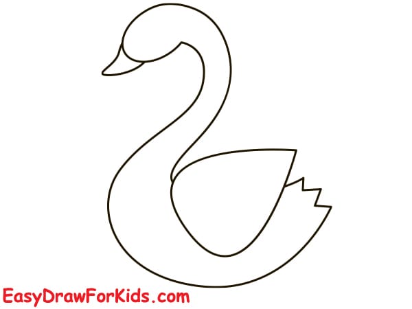 simple swan drawing step 5