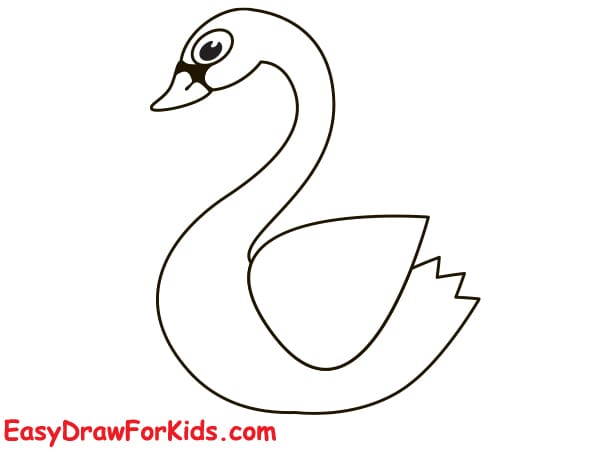 simple swan drawing step 6
