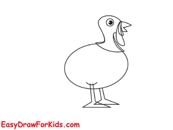 simple turkey drawing step 4