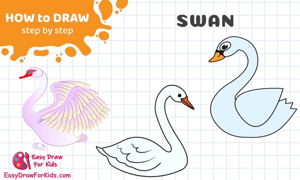 swan drawing