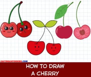 how to draw a cherry