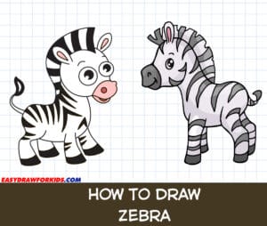 how to draw a zebra