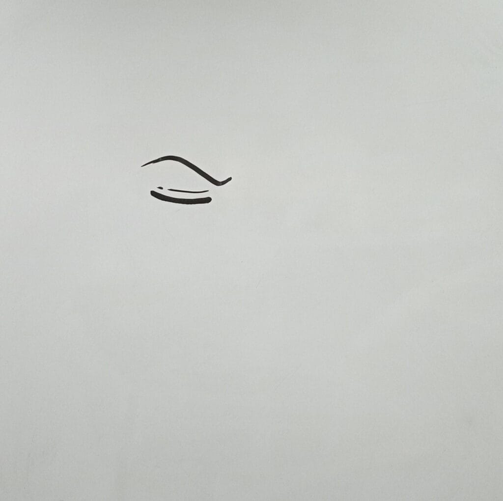 How to Draw Zoro from One Piece Step 1