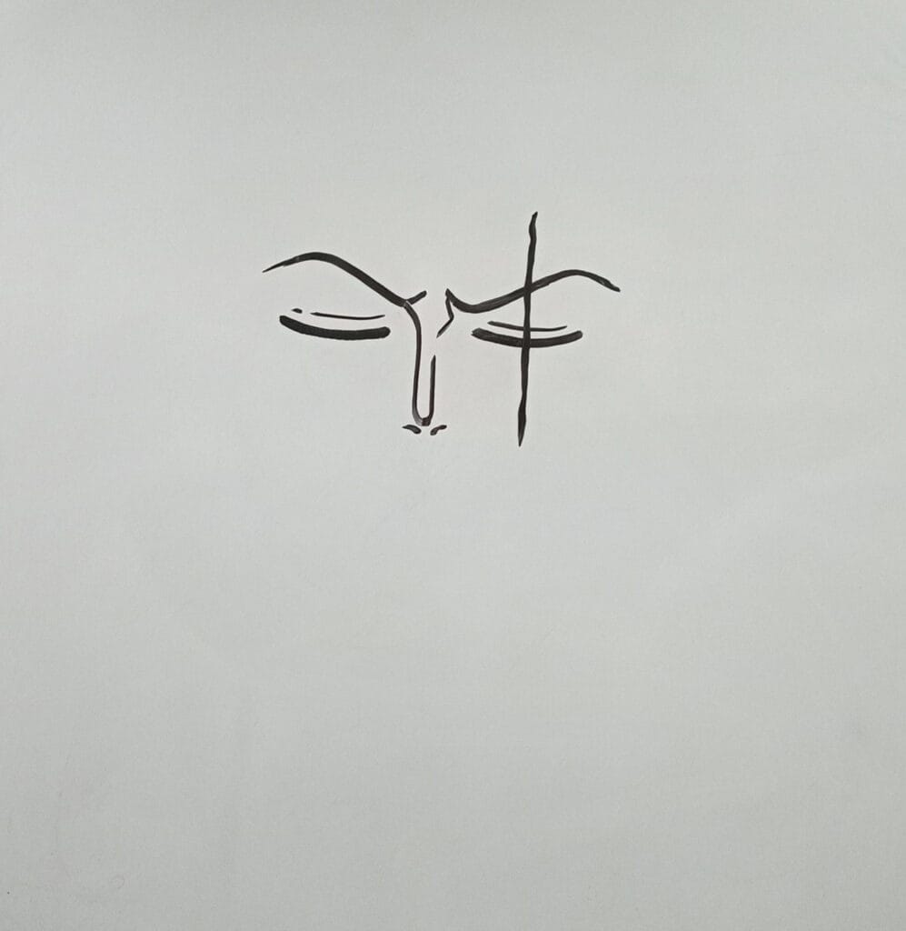 How to Draw Zoro from One Piece Step 3