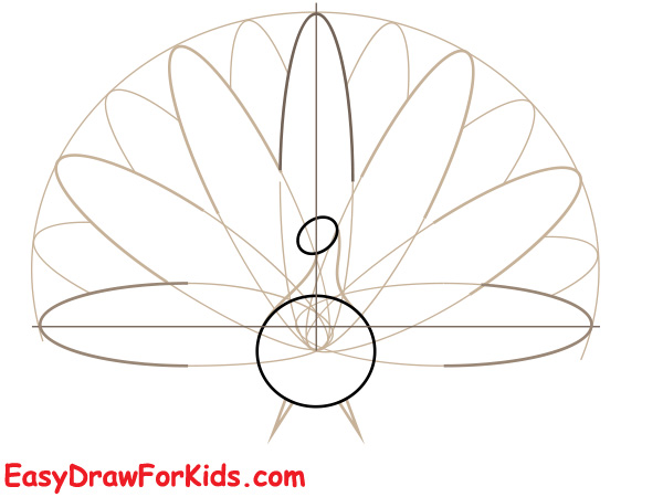 Beautiful peacock drawing step 2