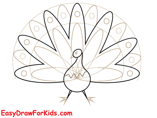 Beautiful peacock drawing step 3