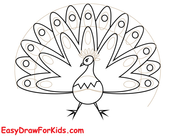 Beautiful peacock drawing step 4