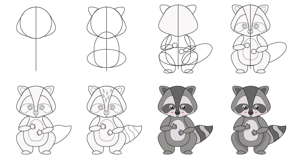 How To Draw A Cartoon Raccoon