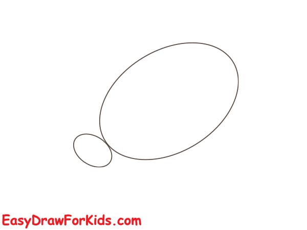 How To Draw A Realistic Ladybug Step 1