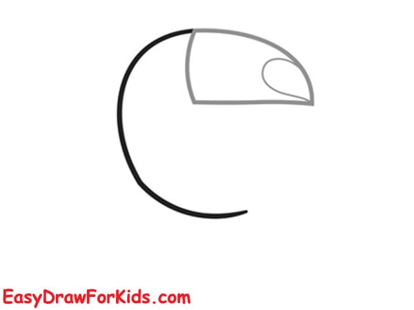 How to Draw a Toucan for kids easy step 3