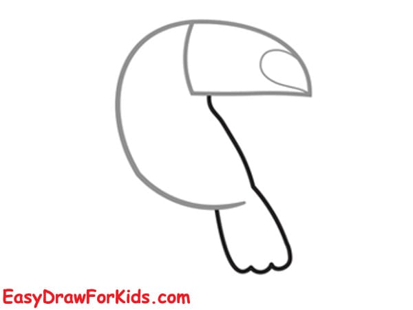 How to Draw a Toucan for kids easy step 4
