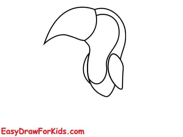 How to Draw a Toucan on a tree step 2