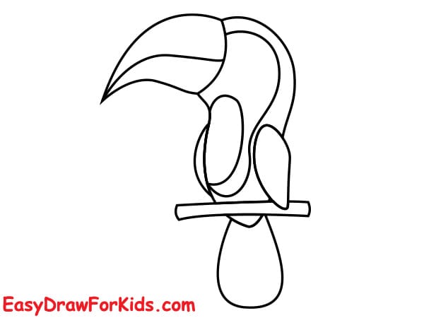 How to Draw a Toucan on a tree step 3
