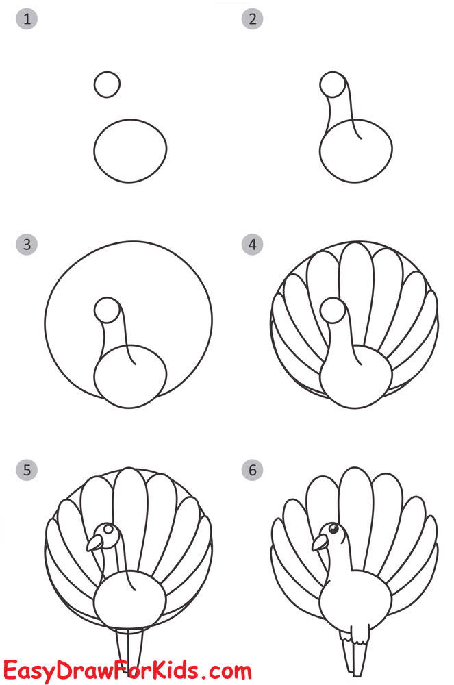 How to Draw an Easy Peacock
