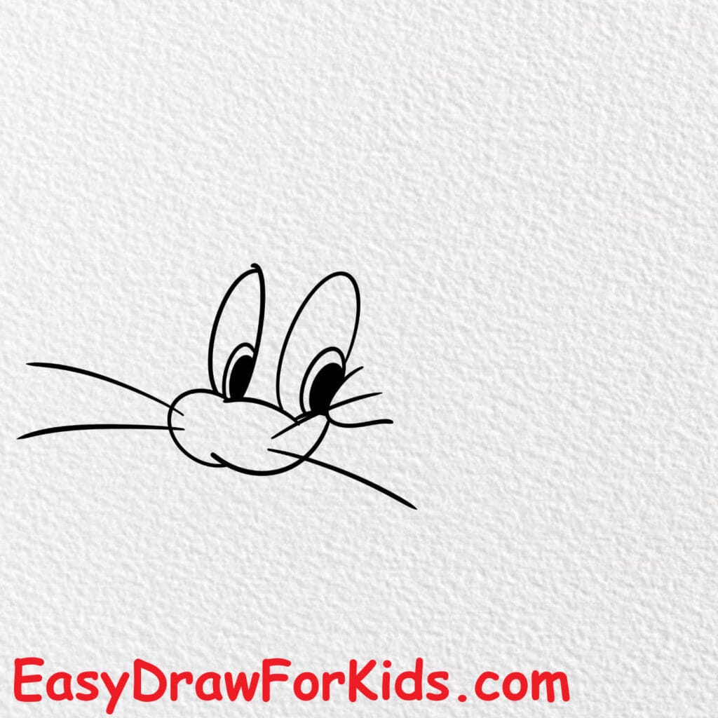 How to draw Tom and Jerry Face step 1