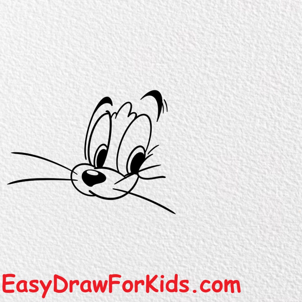 How to draw Tom and Jerry Face step 2