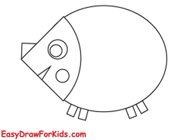 How to draw a Hedgehog for kids step 4