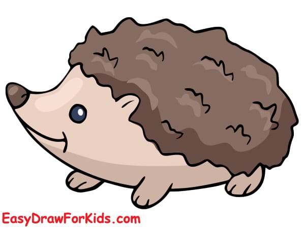 How to draw a hedgehog realistic easy step 7