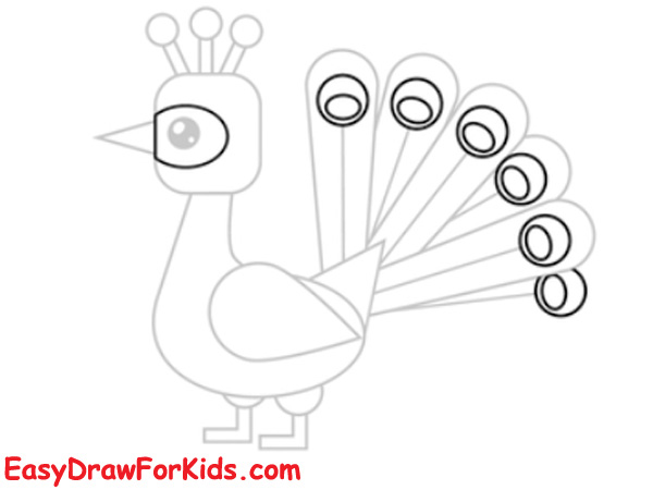How to draw a peacock for kids step 5