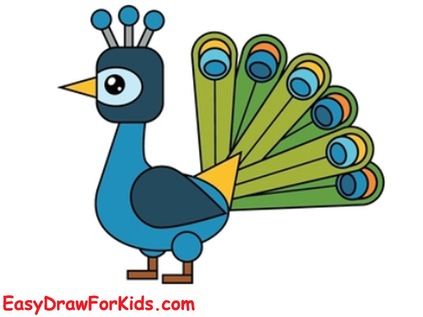 How to draw a peacock for kids step 7
