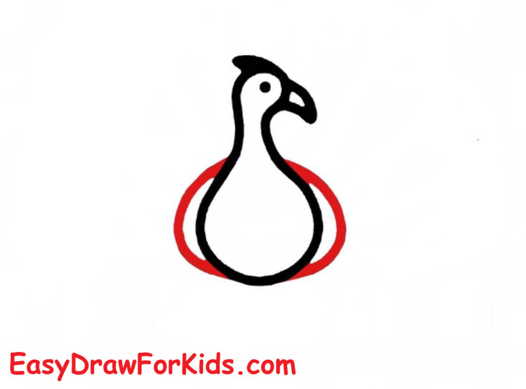 How to draw a peacock full body step 3