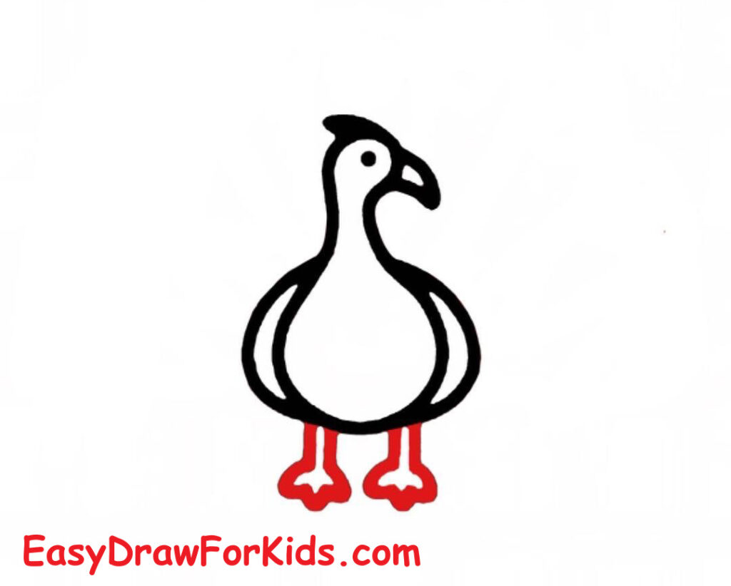 How to draw a peacock full body step 4