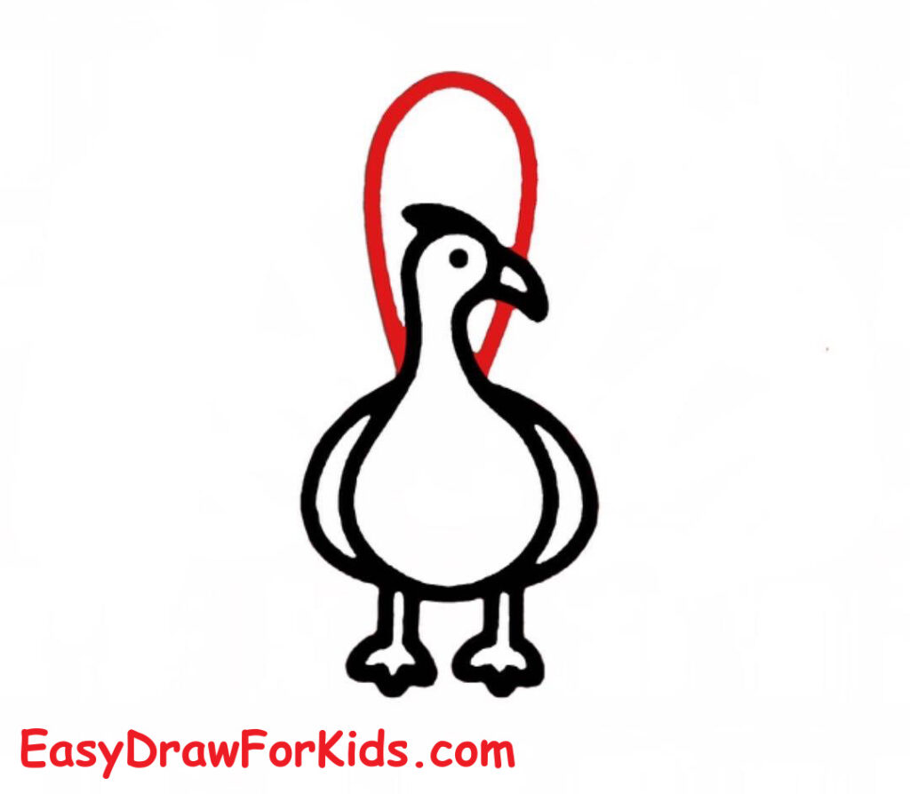 How to draw a peacock full body step 5