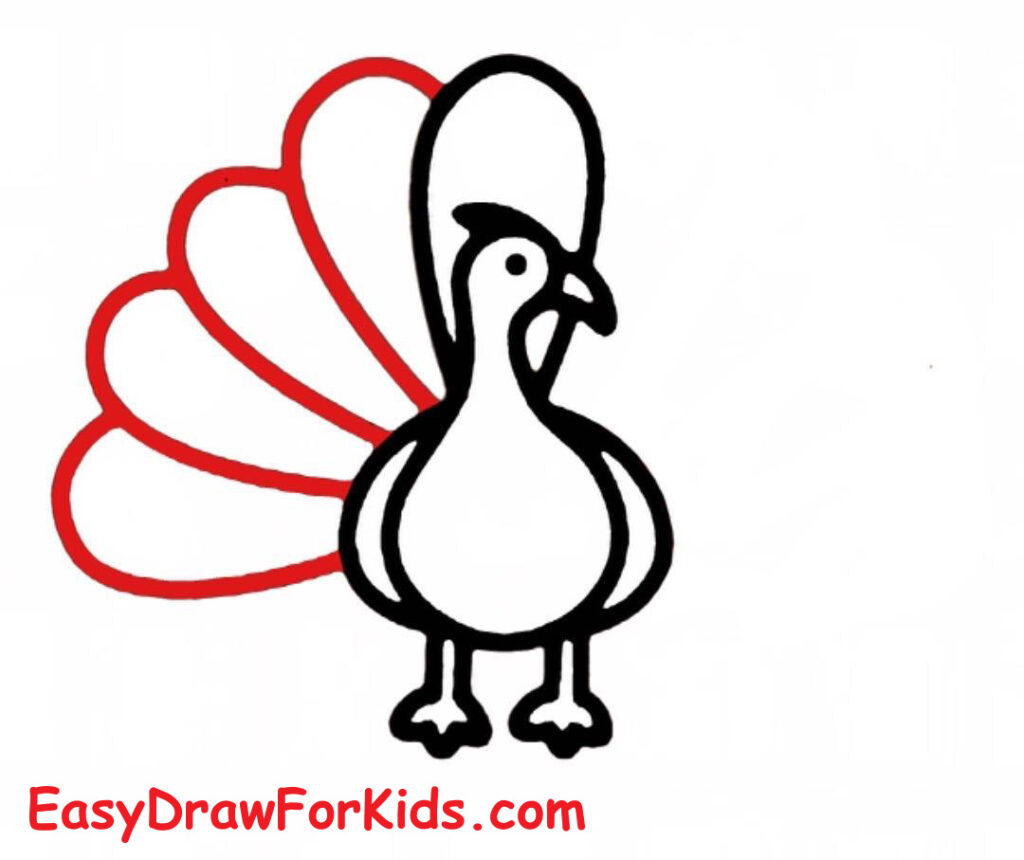 How to draw a peacock full body step 6